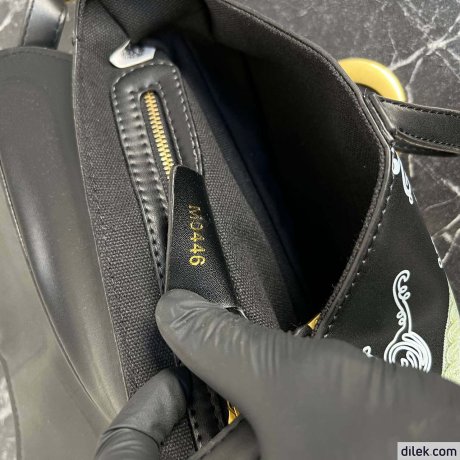 Dior Saddle Bag With Strap