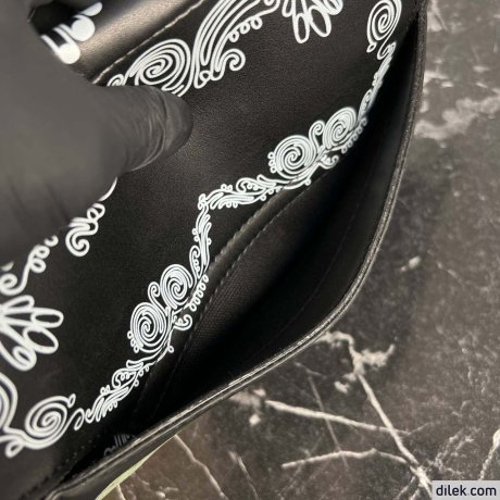 Dior Saddle Bag With Strap