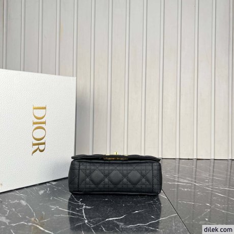 Dior Small 30 Montaigne Bag