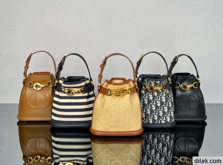 Dior Small C'est Bag