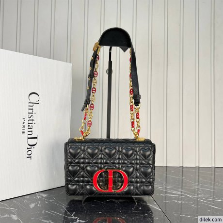 Dior Small Caro Bag