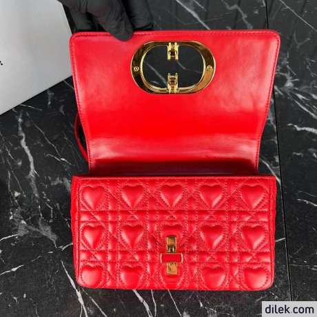 Dior Small Caro Bag