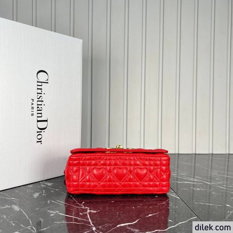 Dior Small Caro Bag
