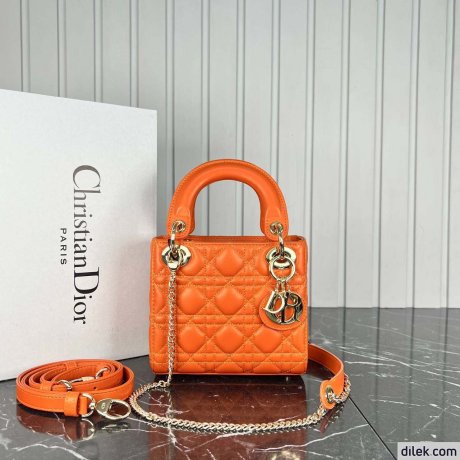 Dior Small Lady Dior My ABCDior Bag