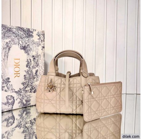 Dior Small Toujours Bag