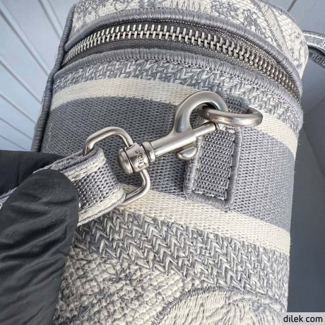 Dior Small Travel Vanity Case with Shoulder Strap