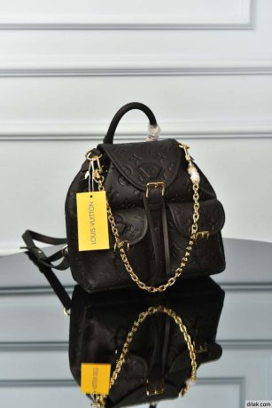 Louis Vuitton Excursion PM