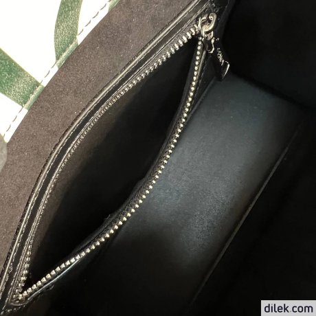 Fendi Sunshine Medium