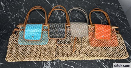 Goyard Aligre Bag