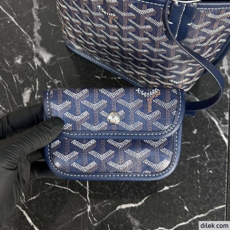 Goyard Anjou Mini Bag