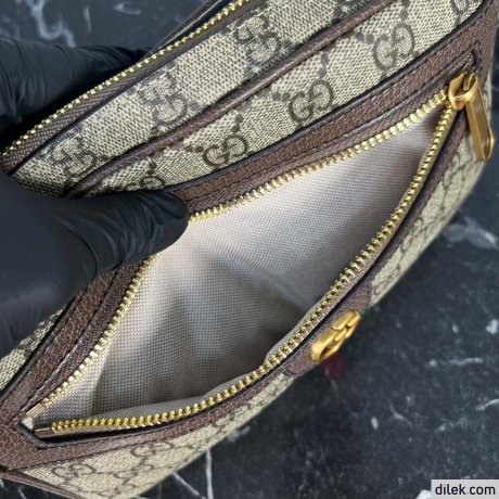 Gucci Ophidia GG Belt Bag