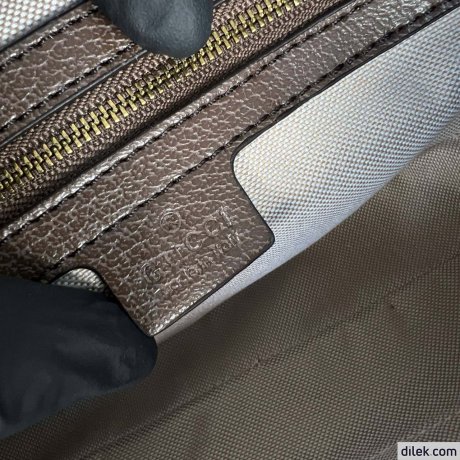 Gucci Ophidia GG Belt Bag