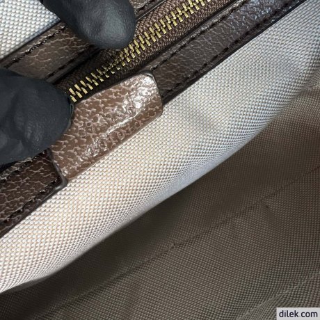 Gucci Ophidia GG Belt Bag