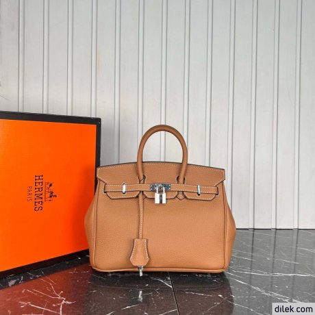 Hermes Birkin 25