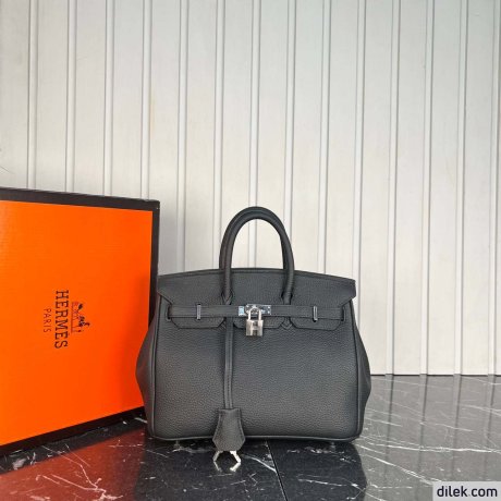 Hermes Birkin 25