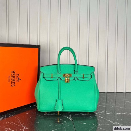 Hermes Birkin 25