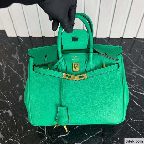 Hermes Birkin 25