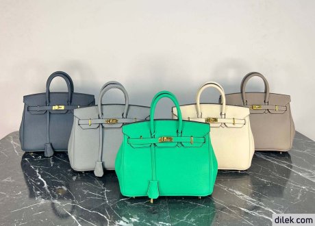 Hermes Birkin 25