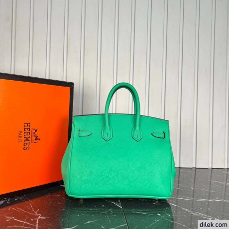 Hermes Birkin 25