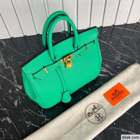 Hermes Birkin 25
