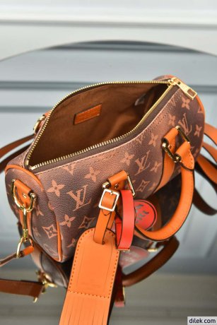 Louis Vuitton Keepal Bandouliere 25