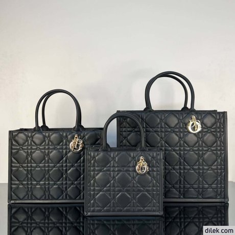Dior Large Book Tote