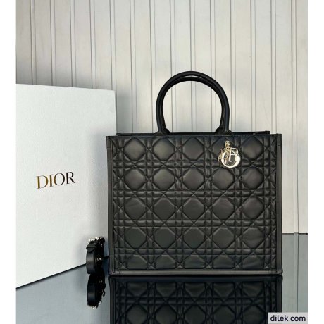 Dior Large Book Tote