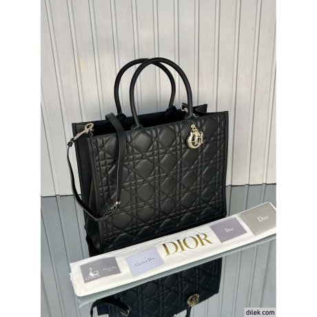 Dior Large Book Tote