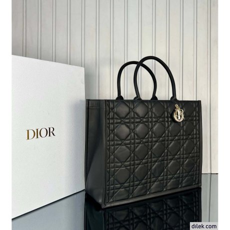 Dior Large Book Tote