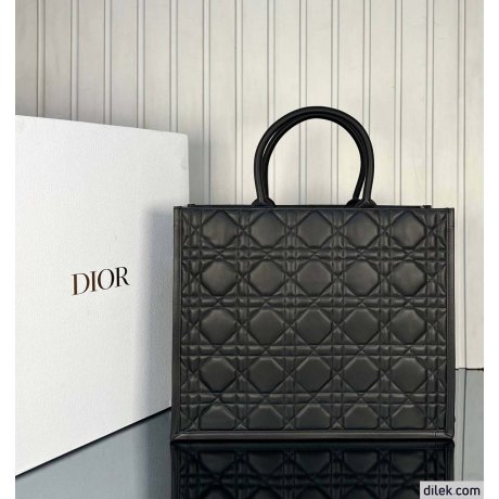 Dior Large Book Tote