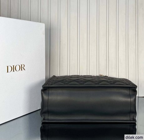 Dior Large Book Tote