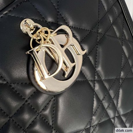 Dior Large Book Tote