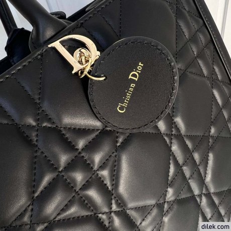 Dior Large Book Tote