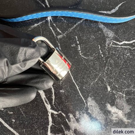 Louis Vuitton Alma BB