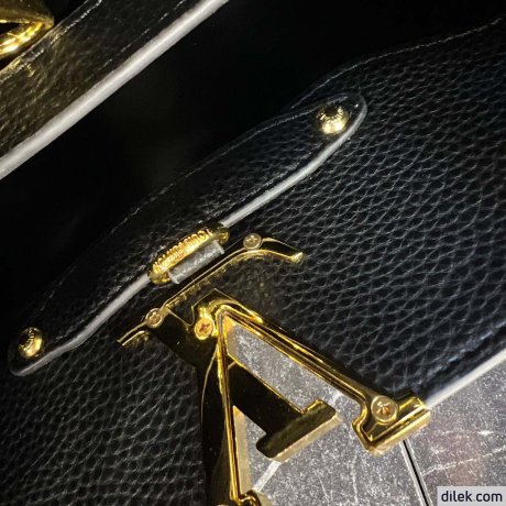 Louis Vuitton Capucines Bag