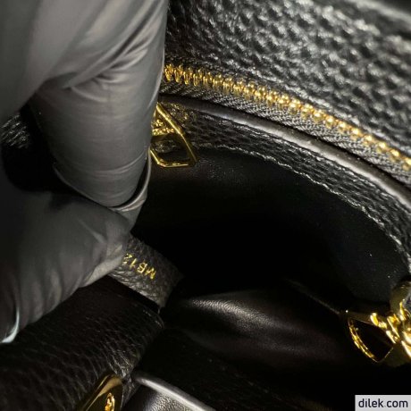 Louis Vuitton Capucines Bag