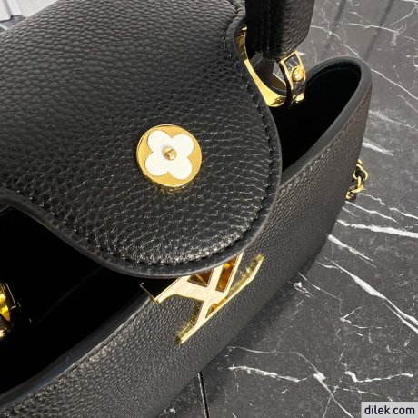 Louis Vuitton Capucines Bag