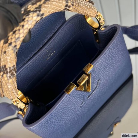 Louis Vuitton Capucines Mini
