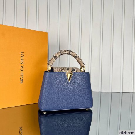 Louis Vuitton Capucines Mini