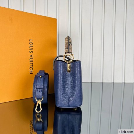 Louis Vuitton Capucines Mini