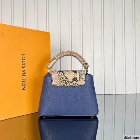 Louis Vuitton Capucines Mini