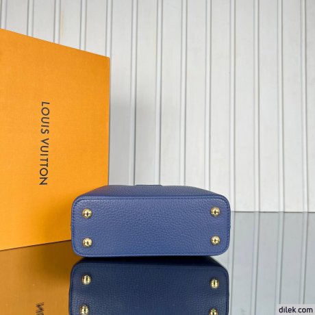 Louis Vuitton Capucines Mini