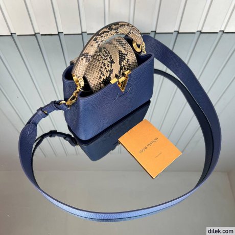 Louis Vuitton Capucines Mini