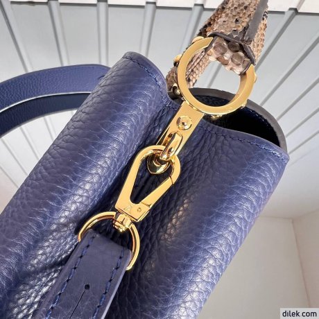 Louis Vuitton Capucines Mini