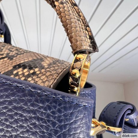 Louis Vuitton Capucines Mini