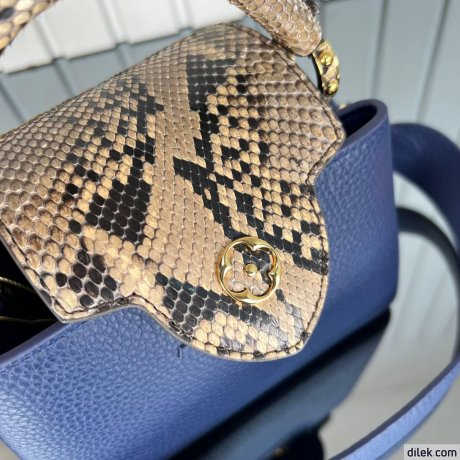 Louis Vuitton Capucines Mini