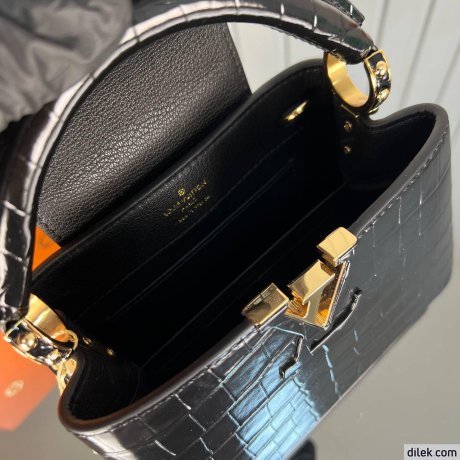 Louis Vuitton Capucines Mini