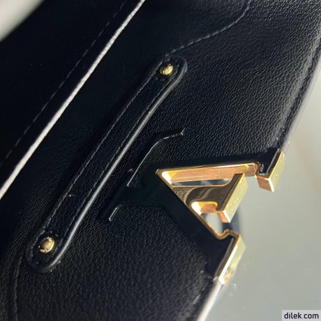 Louis Vuitton Capucines Mini
