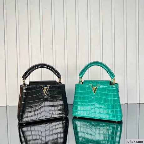 Louis Vuitton Capucines Mini