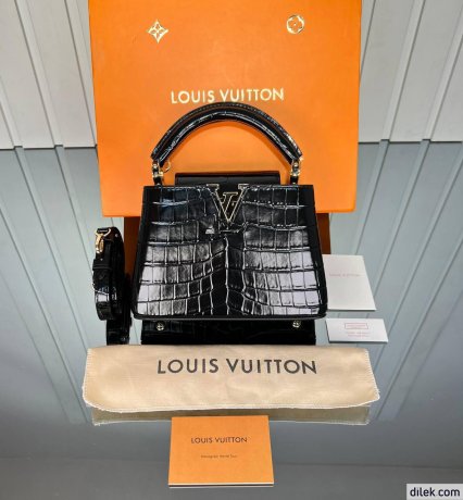 Louis Vuitton Capucines Mini